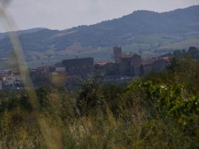 photo coins arrondis