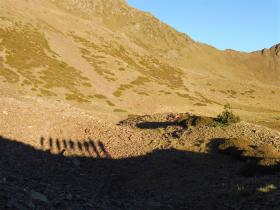 photo coins arrondis