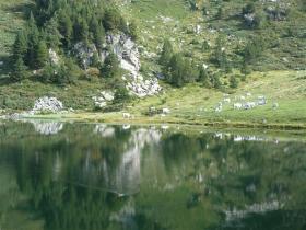 Image al&eacute;atoire