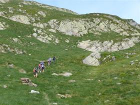 Image al&eacute;atoire