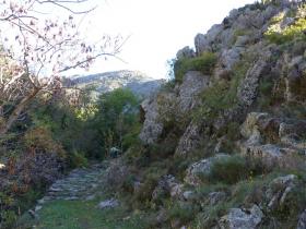 photo coins arrondis