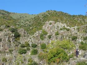 photo coins arrondis