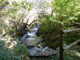 photo coins arrondis