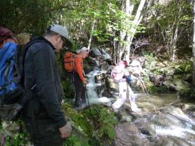 photo coins arrondis