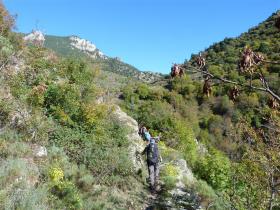 photo coins arrondis