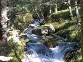 photo coins arrondis