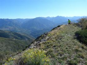 photo coins arrondis