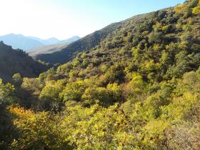 photo coins arrondis