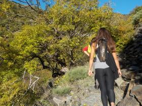 photo coins arrondis