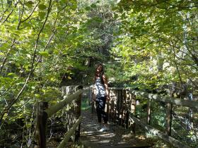 photo coins arrondis