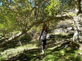 photo coins arrondis