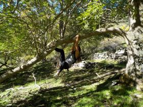 photo coins arrondis