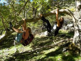 photo coins arrondis