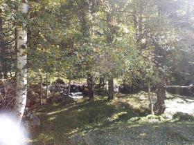 photo coins arrondis