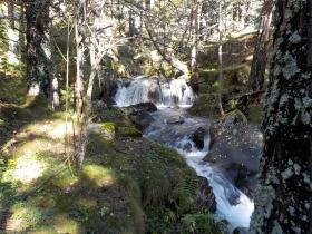 photo coins arrondis