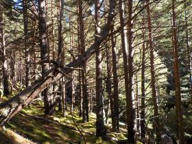 photo coins arrondis