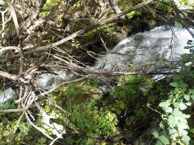 photo coins arrondis