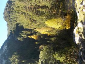 photo coins arrondis