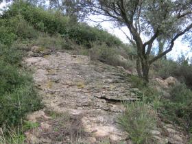 photo coins arrondis