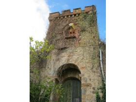 photo coins arrondis