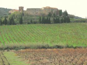 photo coins arrondis