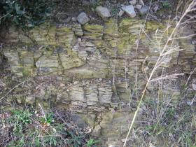 photo coins arrondis