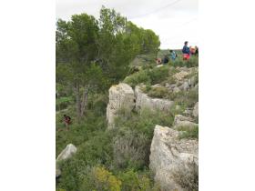 photo coins arrondis