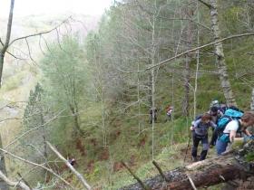 photo coins arrondis