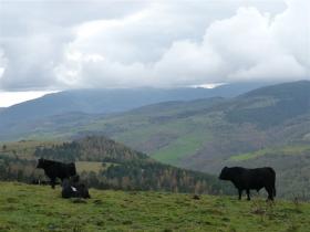 photo coins arrondis