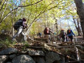 photo coins arrondis