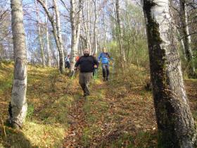 photo coins arrondis