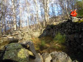 photo coins arrondis