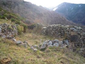 photo coins arrondis