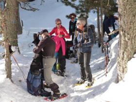 photo coins arrondis