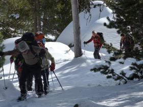 photo coins arrondis