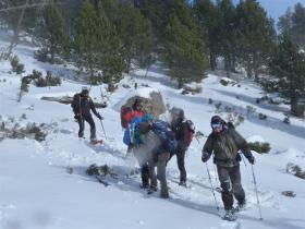 photo coins arrondis