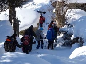 photo coins arrondis