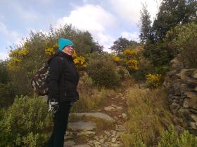 photo coins arrondis