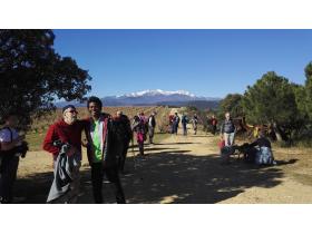 photo coins arrondis