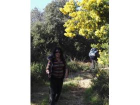 photo coins arrondis