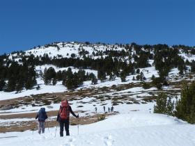 photo coins arrondis