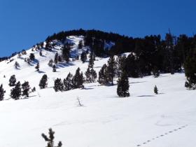 photo coins arrondis