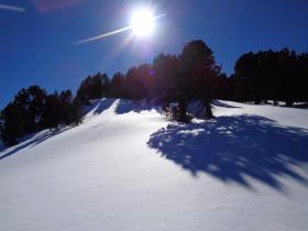 photo coins arrondis