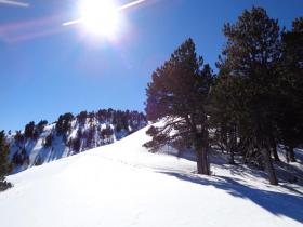 photo coins arrondis