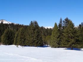 photo coins arrondis