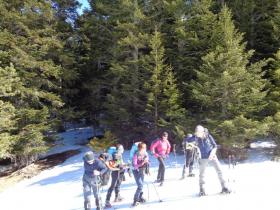 photo coins arrondis