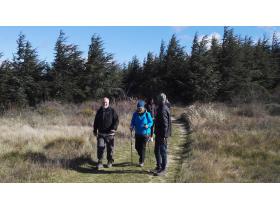 photo coins arrondis