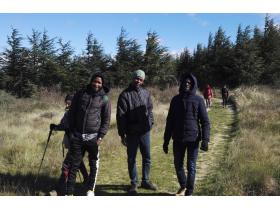 photo coins arrondis