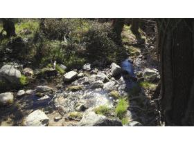 photo coins arrondis