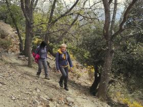 photo coins arrondis